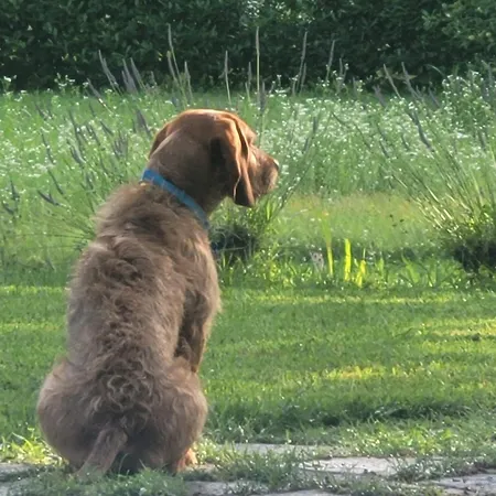 La Garbata 3* Castelnuovo Don Bosco